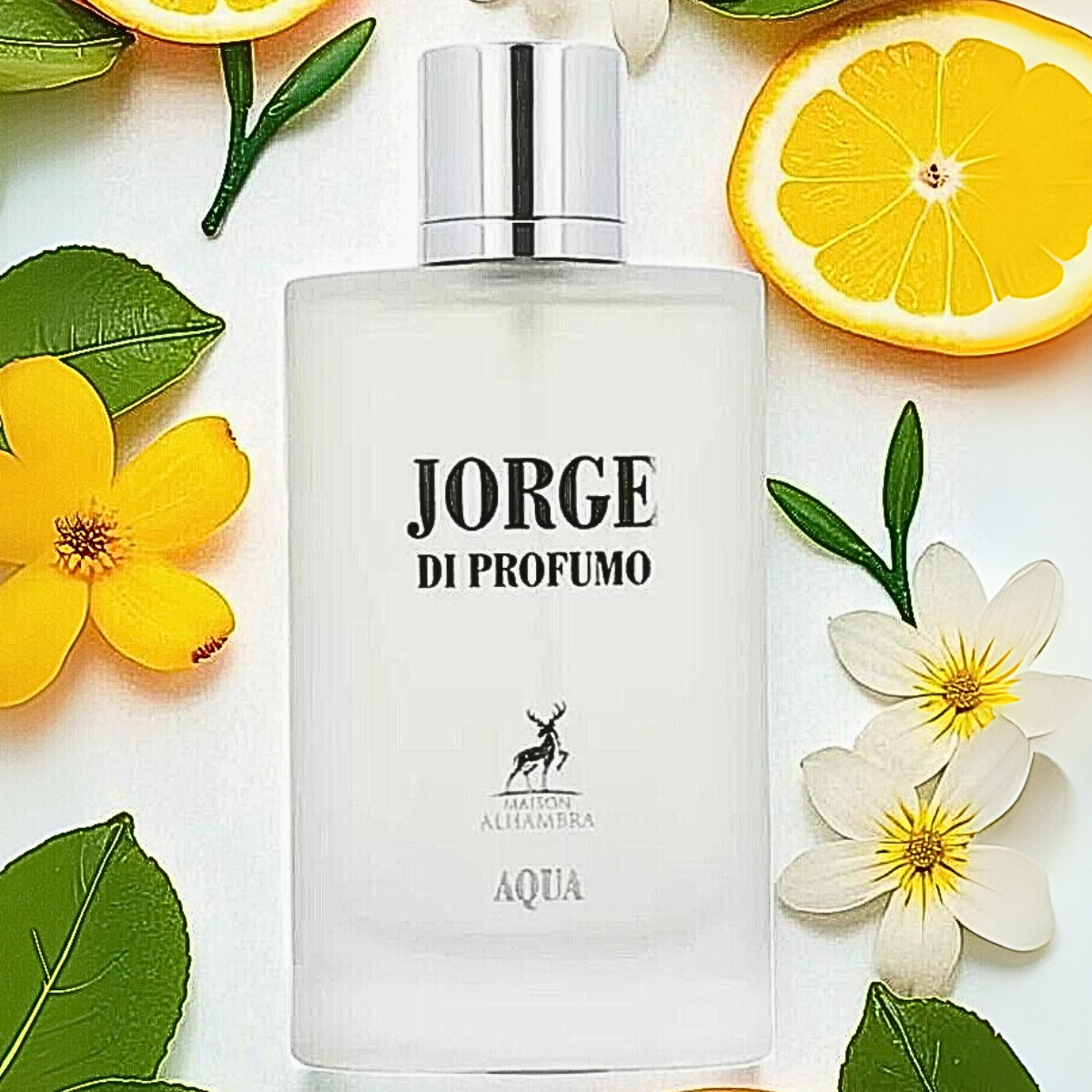 Jorge di profumo Aqua Maison Alhambra Eau de parfum 100ml